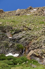 a  herd of rocky mountain mountain goats  next to a waterfall in the cliffs  on a sunny day  in the blue mesa wilderness area in the rocky mountains near breckenridge, colorado