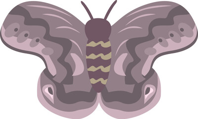 Purple moth with patterned wings, showcasing the beauty and detail found in nature