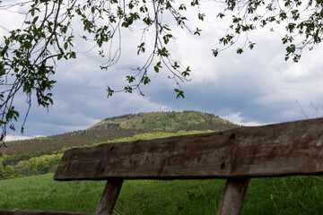 Empty wooden bench in front of the mountain under a deciduous tree