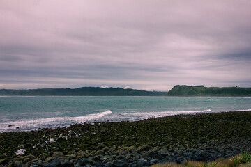 Large waves crash into with coastal rocks covered in green moss. Dramatic sea coast background. Raglan, New Zealand