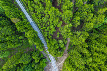 Beskid Sądecki, wiosna, widok z drona © Maciej G. Szling