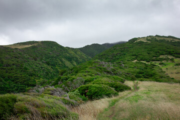 Fototapeta premium Breathtaking view over Te Toto Gorge Lookout and Mt Kariori on an overcast summer day. High vantage point. Raglan Waikato
