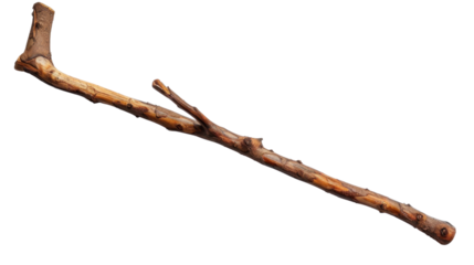 Hiking Stick on transparent background