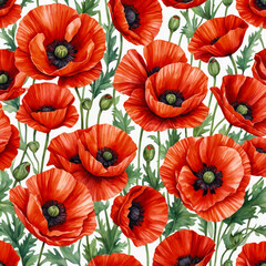 Obraz premium Red poppies on white background, showcasing elegance of these delicate spring flowers in captivating watercolor drawing. Soft hues and intricate details floral beauty and grace. Greeting card.