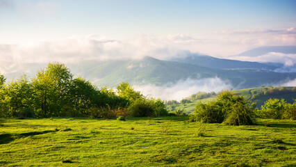 carpathian mountain landscape on a foggy morning. outdoor adventure with stunning view in morning...