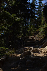 Trail of a Canadian Rockies route