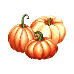Obraz premium Pumpkins colorful in pile. Harvest Autumn composition. Hand drawn watercolor illustration isolated. Thanksgiving traditional vegetables. Template for invitation, card, Halloween, wrapping, embroidery.