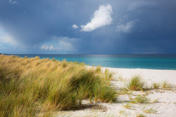 Sun drenched white, sand beach with tussock grass in foreground and a dramatic rain storm on the horizon. 