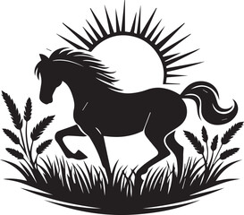 horse silhouette isolated on white