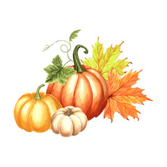 Pumpkins with maple leaves. Harvest Autumn composition. Hand drawn watercolor illustration isolated. Thanksgiving traditional vegetables. Template for invitation, card, Halloween, wrapping, embroidery