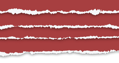 torn paper edge, vector illustrator