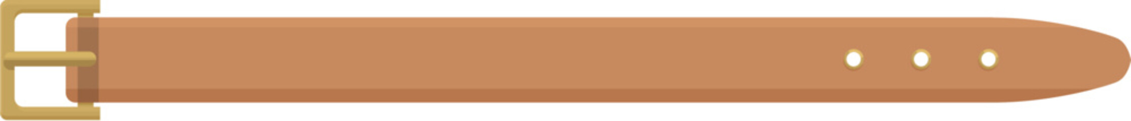 Brown leather belt with golden buckle isolated on white background