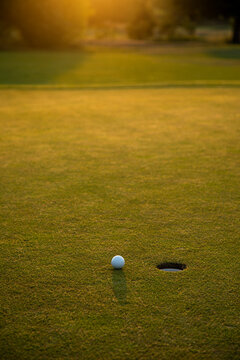 Closeup Golf ball on green grass on course, Sport and lifestyle