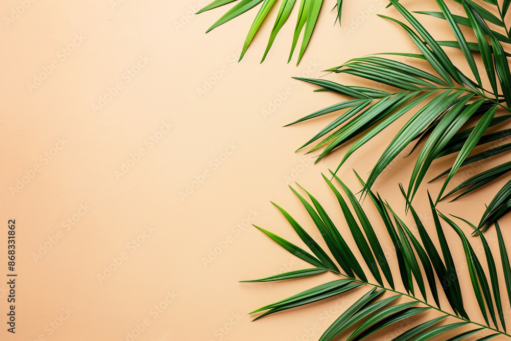 Poster minimalistic palm leaves on a beige background with copy space for text or design, in a top view. a 