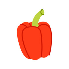 Red pepper illustration, vector illustration, isolated on white background
