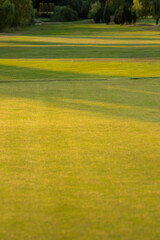 Obraz premium Golf course in green field