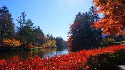 紅葉の雲場池