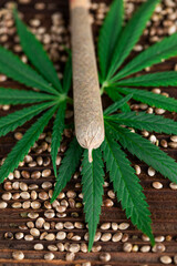 Naklejka premium Blunt, Cbd, Marijuana bud with cannabis