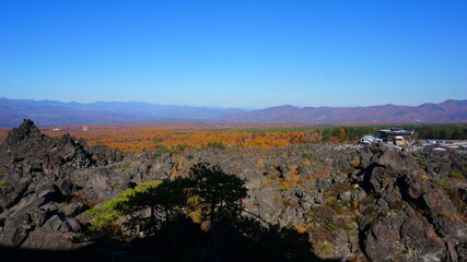Fototapeta premium 秋の鬼押出し園