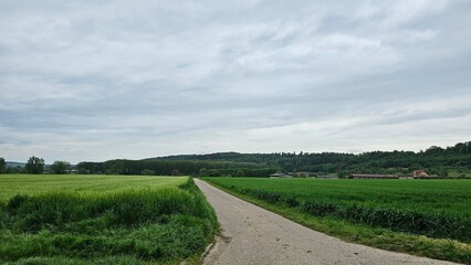 Landschaft zwischen Bammental und Mauer