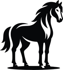 Beautiful Black And White Horse  Silhouette