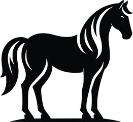 Beautiful Black And White Horse  Silhouette