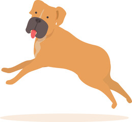 Obraz premium Happy boxer dog jumping in the air with its tongue sticking out