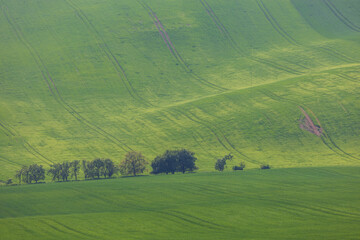 Beautiful summer undulating landscape. The area called Moravian Tuscany - Europe Czech Republic