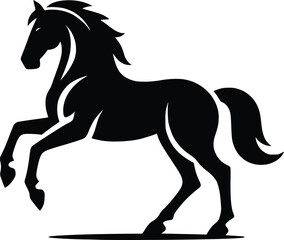 Beautiful Black And White Horse  Silhouette