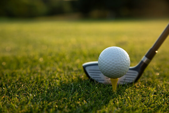 Golf course on a sunny day