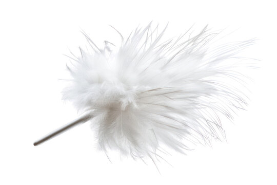 Close-up of a fluffy white feather duster on white background, perfect for cleaning and dusting household surfaces.