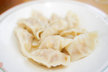 Fresh boiled dumpling on plate.