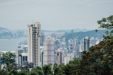 Fototapeta premium The mix between the jungle and the urban in Hong Kong