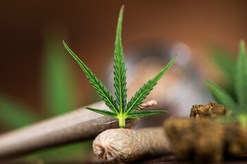 Blunt, Marijuana buds with cannabis leaves, cbd