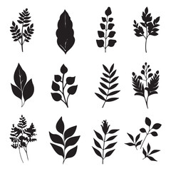 Simple leaves ornaments set, black vector illustrations on white background