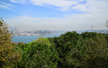 Obraz premium A view from Fethi Pasha Grove in Uskudar, Istanbul, Turkey