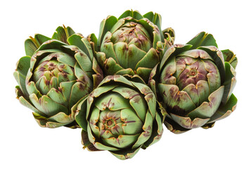 Fototapeta premium Five steamed artichokes, cut out - stock png.