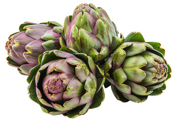 Close-up of freshly steamed artichokes, cut out - stock png.