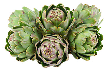 Obraz premium Fresh green artichokes, cut out - stock png.