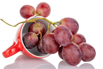 One bunch of sweet grapes in a ceramic cup, macro, isolated on white background.