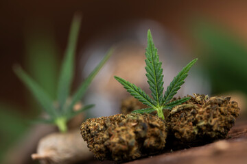 Blunt, Cbd,  Marijuana bud with cannabis