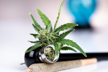 Blunt, Marijuana buds with cannabis leaves, cbd