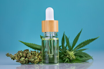 Hemp cbd oil, cannabis leaves, hemp seeds and bottles of oil