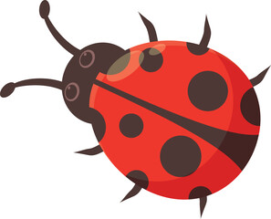 Red ladybug crawling with black spots on its back isolated on white background