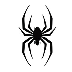 Obraz premium Black spider, top view, illustration. Isolated background, transparent