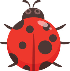 Red ladybug showing its black spots on white background