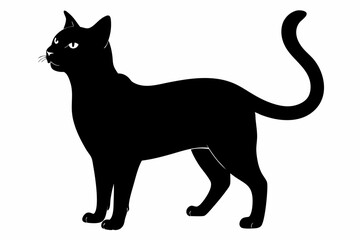 black and white cat silhouette, Cat vector illustration, cat head silhouette, animal silhouette isolated vector Illustration, png,  Cat icon