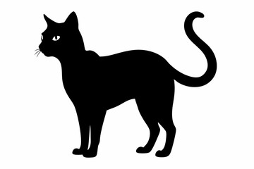 black and white cat silhouette, Cat vector illustration, cat head silhouette, animal silhouette isolated vector Illustration, png,  Cat icon