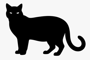 black and white cat silhouette, Cat vector illustration, cat head silhouette, animal silhouette isolated vector Illustration, png,  Cat icon