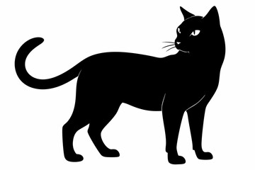 black and white cat silhouette, Cat vector illustration, cat head silhouette, animal silhouette isolated vector Illustration, png,  Cat icon